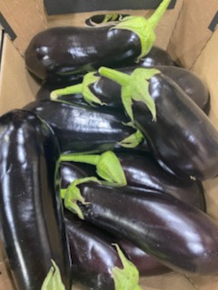 Polish fresh eggplant, packed 5 kg in a carton
