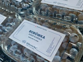 American blueberry for sale. Freshly picked. We deliver the