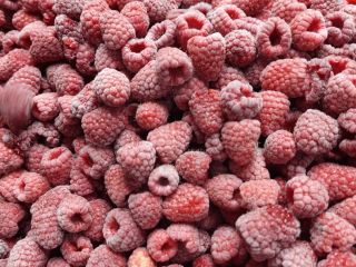 Iqf raspberry variety: Willamette, Quality: 95/5, Packing:4×2.5 kg Quantity:100