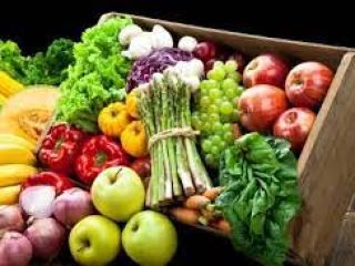 We deal in a variety of fresh vegetables. With