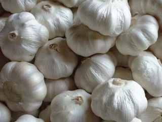 Vietnam High Quality Fresh/ Frozen Garlic 100% Natural Organic