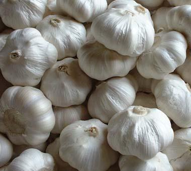Vietnam High Quality Fresh/ Frozen Garlic 100% Natural Organic Cultivation type Wholesale Hot 2022 Style: Fresh, Fresh & Frozen Type: Garlic Product Type: