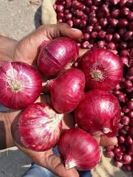Made In Vietnam Hot Agriculture Product Fresh/ Dried Shallot Natural Color Wholesale Hot Sale 2022 Style: Fresh, Fresh + Dried Type: Onion Product Type: