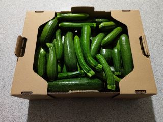 I offer for sale zucchini grown without fertilizer in
