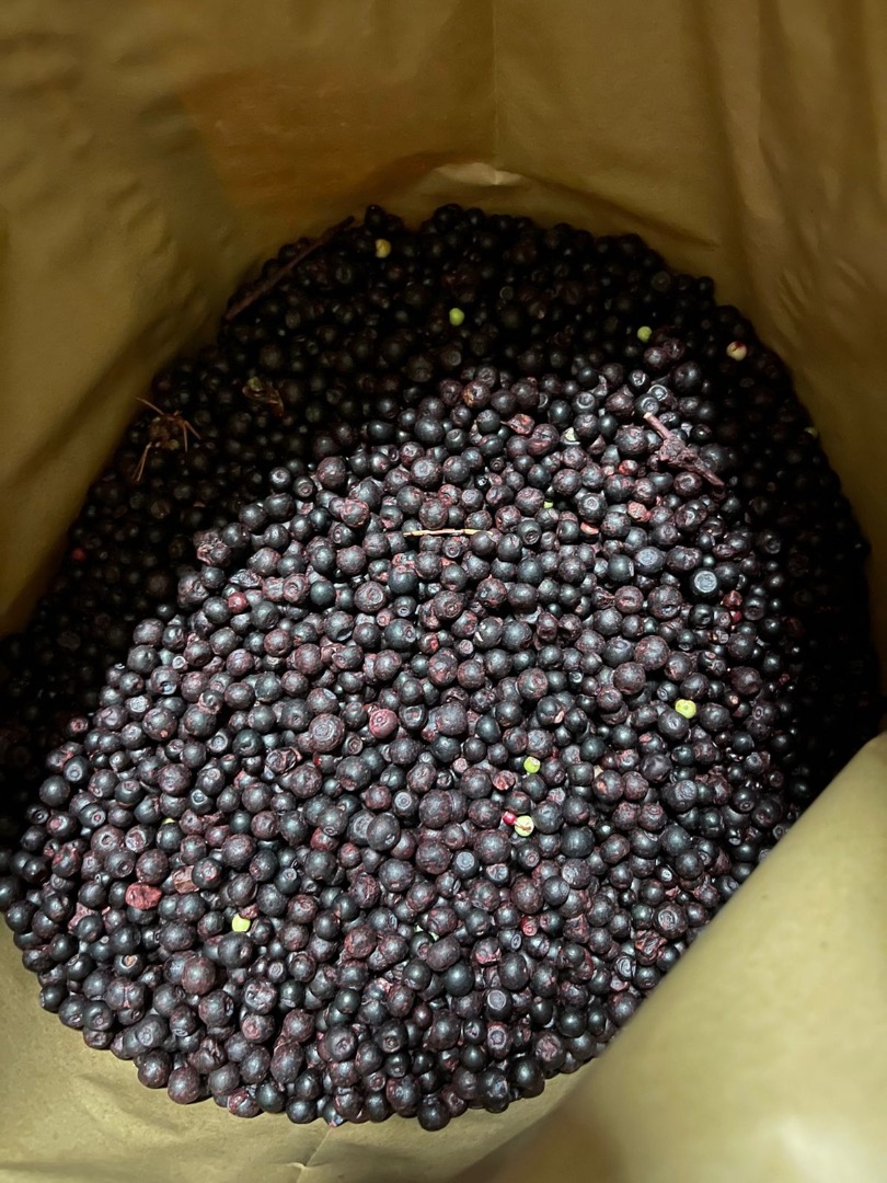 I will sell forest berries frozen IQF Klass B packed in bags of 25 kg 40 tons