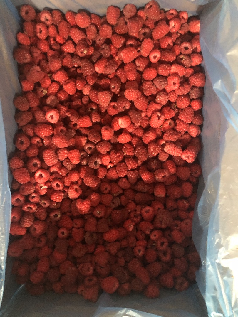 I will sell frozen raspberry 80/20