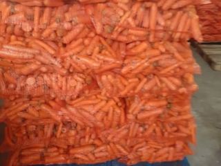 I'm selling washed, small feed carrots for 30 cents