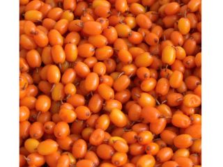 I am selling sea buckthorn grain by grain in