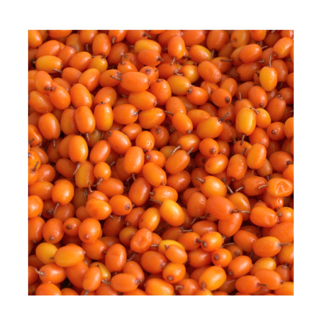 I am selling sea buckthorn grain by grain in a very large quantity, over 500 kg