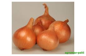 Onion jabučar