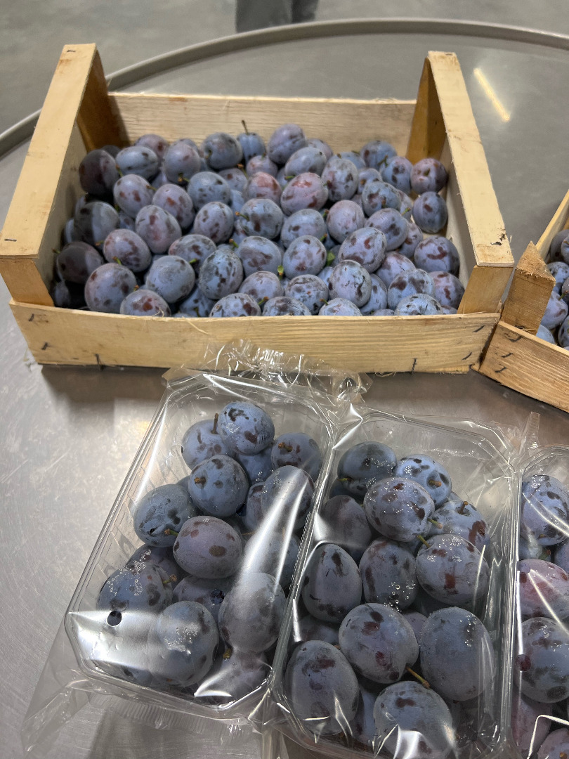 Our plantations are only a few minutes' drive from the processing site