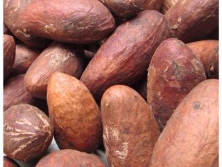 We sell high quality bitter Kola farmed in Nigeria.