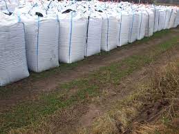 Hello, I am selling maize from Ukraine