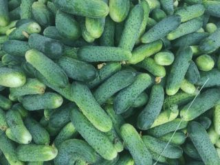 I will sell small cucumbers 5 PLN, medium 4