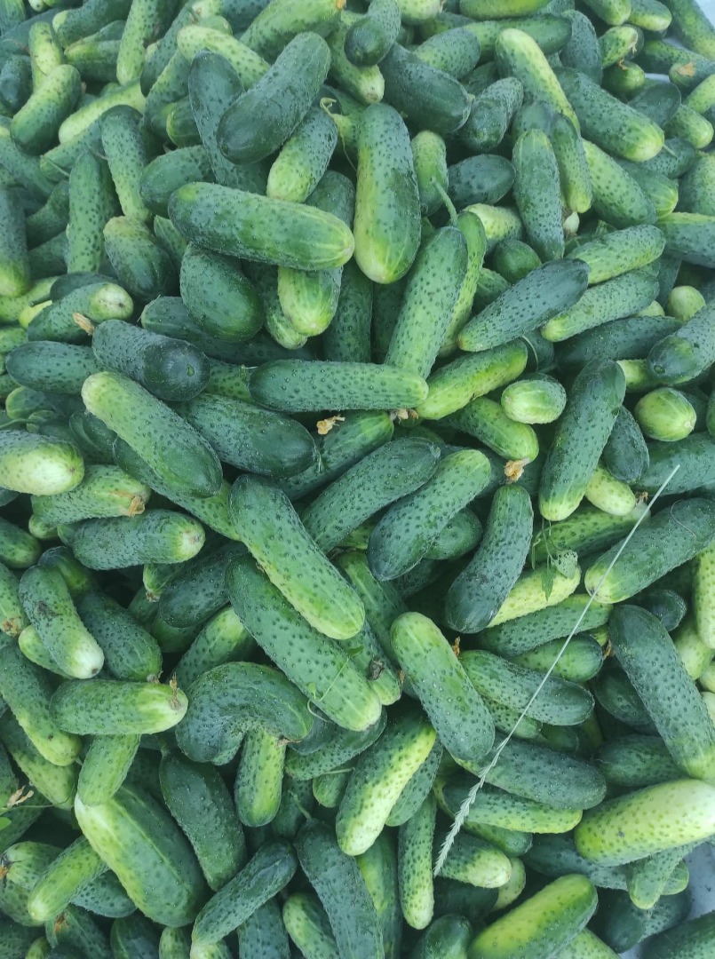I will sell small cucumbers 5 PLN, medium 4 PLN, large 3 PLN