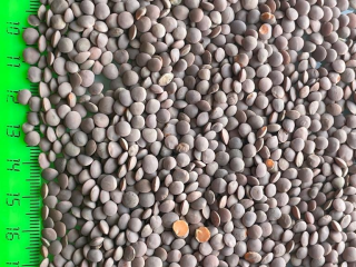 CORTEX purity 99.5-99.9% FOR EVERY PURPOSE