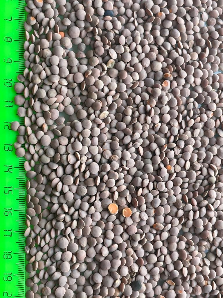 CORTEX purity 99.5-99.9% FOR EVERY PURPOSE