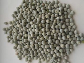 Groch zielony / Green Peas Can be re-cleaned for