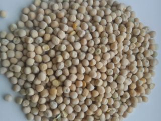 Groch Żółty /Yellow peas can be re-cleaned for human