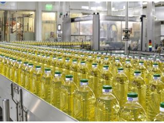 Sunflower Oil wholesales, Sunflower Oil