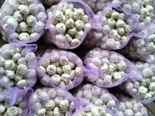 Specification and Packing： Normal white garlic and Pure white