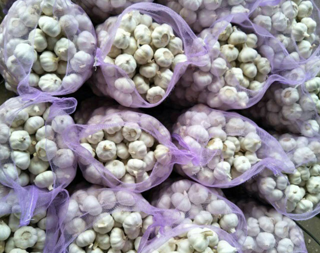 Specification and Packing： Normal white garlic and Pure white garlic have different size in diameter: 4.5-5.0cm, 5.0-5.5cm, 5.5-6.0cm, 6.5-7.0cm and 7cm up
