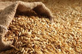 We are the best suppliers of quality agricultural products , be free to get back to us with your order and be happy doing business with us..