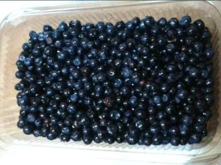 I am selling wild blueberries, freshly picked from the