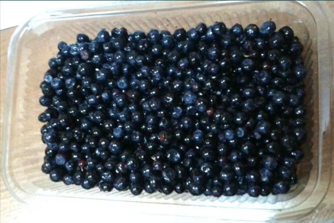 I am selling wild blueberries, freshly picked from the mountains, cleaned daily, details on and