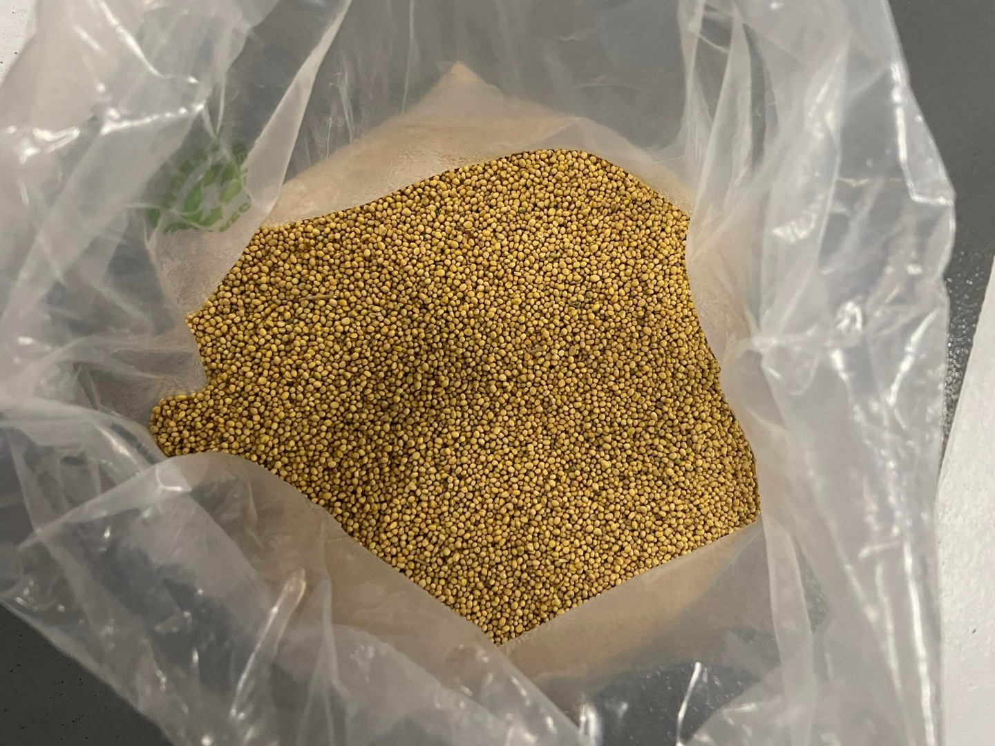 for sale yellow mustard food quality 399.5% germination strength 95% price PLN 6 per kg large quantity