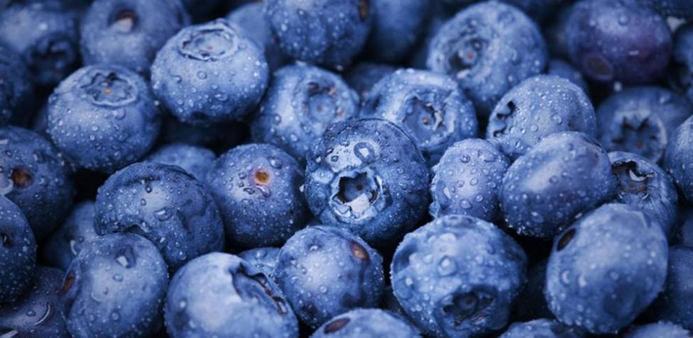 I will sell blueberries