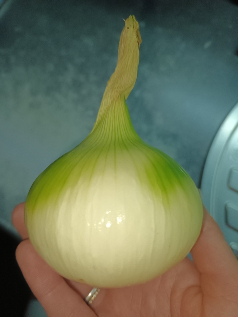 I will sell a large yellow onion, after peeling it looks like in the picture