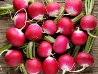 Hello, I have a weekly delivery of radish for