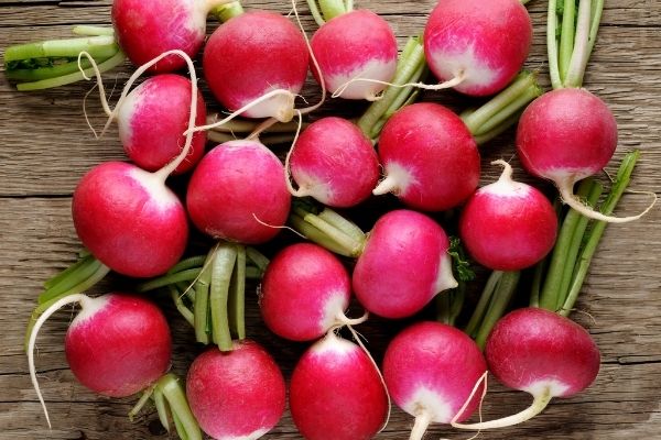 Hello, I have a weekly delivery of radish for sale