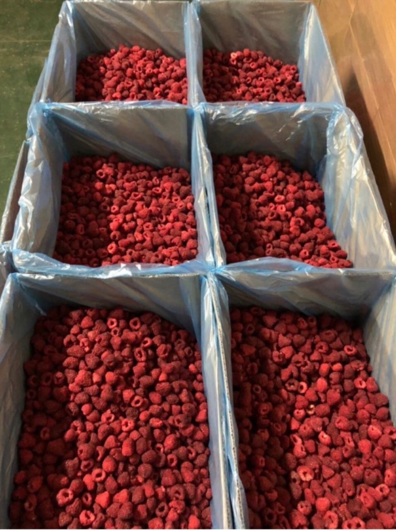 In stock we have Raspberry polo-fabricated, packed in 10kg bags, price: 4€ Raspberry grits, packed in 25 kg bags, price: 4.7€ Raspberry 80/20, packed in 10kg