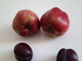 I will sell beautiful fruit picked straight from the