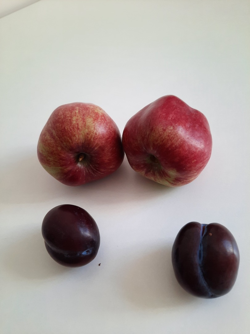 I will sell beautiful fruit picked straight from the orchard, I have any quantity for sale :) More information by phone or in the message :) Apple variety