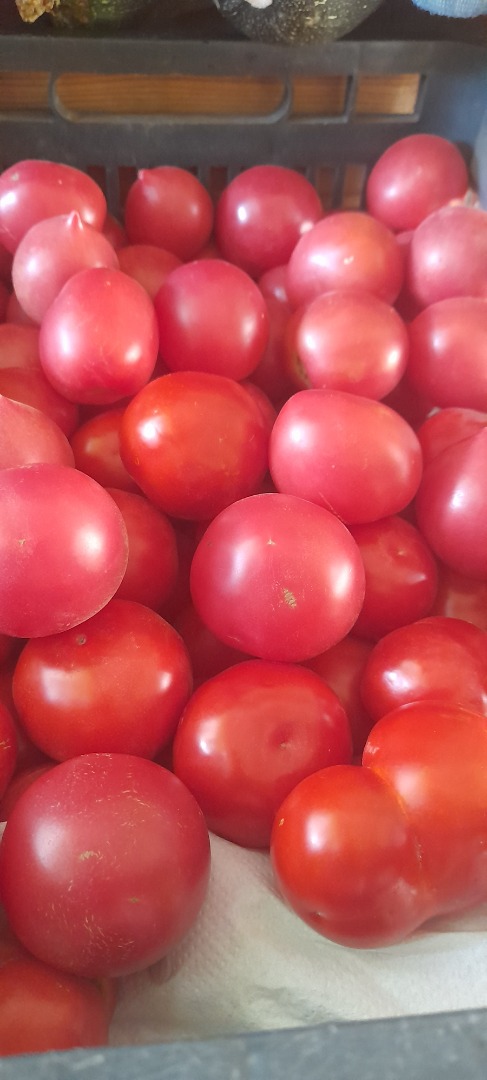 I will sell ground tomatoes, price 4 PLN per kg