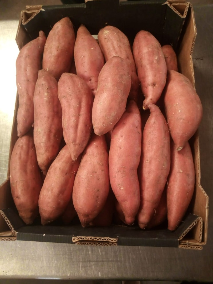 Egyptian Sweet Potato from HNTS Group