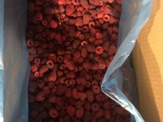 Raspberry semi-produkt (original) frozen, 10 kg each, price 4.2