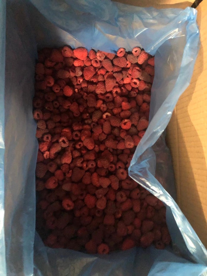 Raspberry semi-produkt (original) frozen, 10 kg each, price 4.2 €