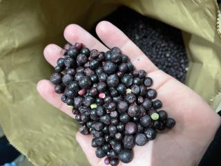 Blueberry, class B, 25 kg each, price 3.35 €