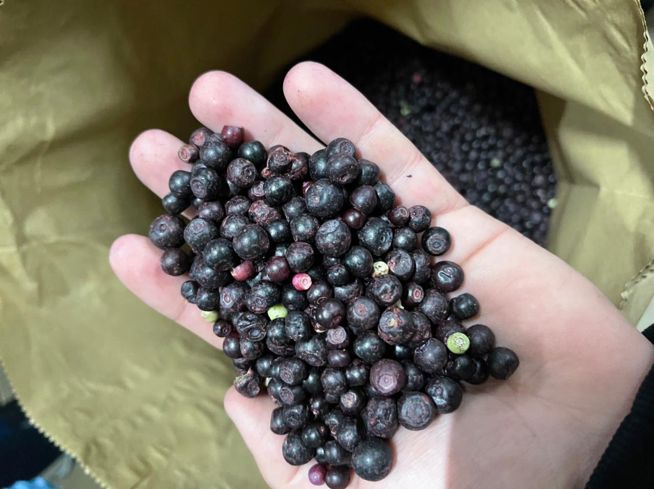 Blueberry, class B, 25 kg each, price 3.35 €