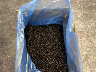 IQF frozen wild blueberry is available! Please contact us
