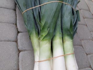 I have a large amount of leeks from my