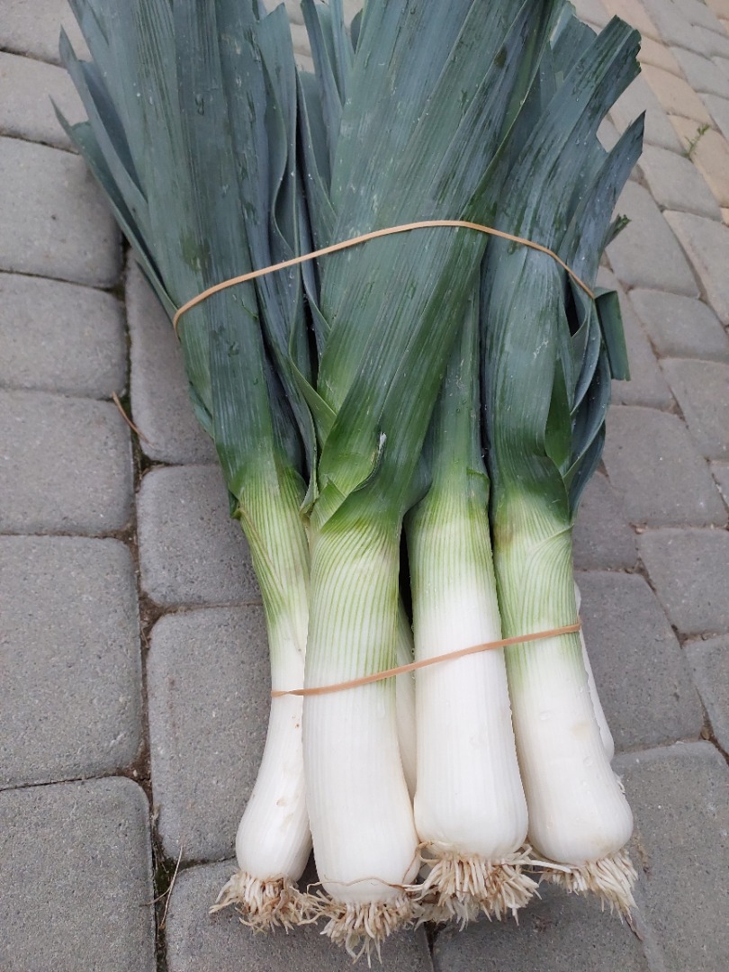I have a large amount of leeks from my own cultivation for sale