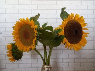 I offer sunflowers from my own cultivation with delivery