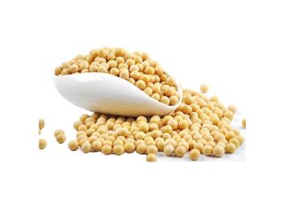 Brand Plant N Plate Weight 1800 Grams Specialty Suitable