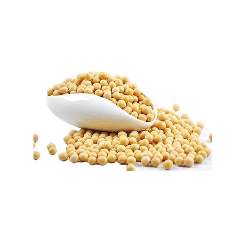 Brand Plant N Plate Weight 1800 Grams Specialty Suitable for vegetarians Allergen Information Allergen-Free Form Seed Diet Type Vegetarian Package Weight 1800