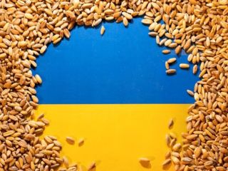 The Ukrainian economy sells wheat, maize, rapeseed, and sunflower